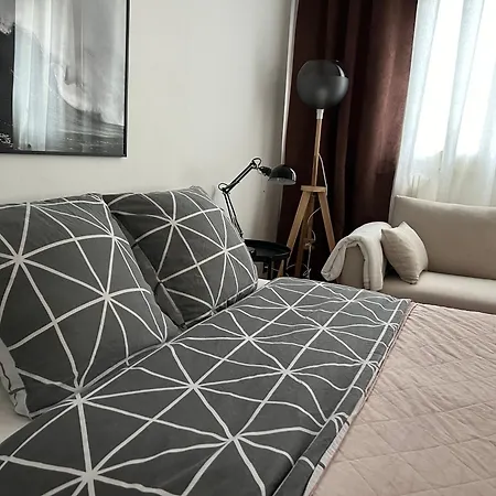 Big Eiffel Tower View Paris